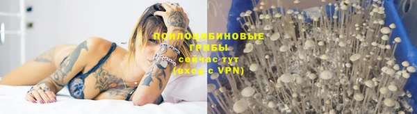 индика Алексеевка