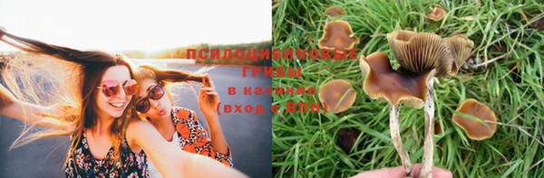 дмт Алексин